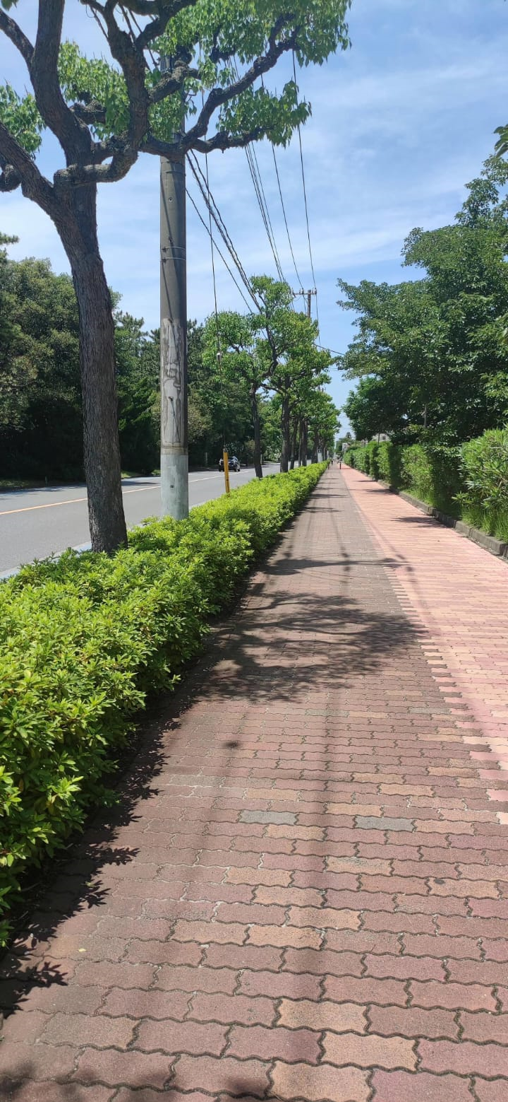 japanphoto