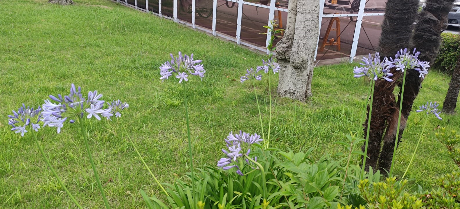 japanphoto
